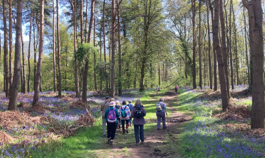 Image of members walking through woodland path